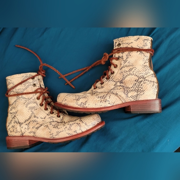 Freebird Manchester white snake 8 - Picture 4 of 5